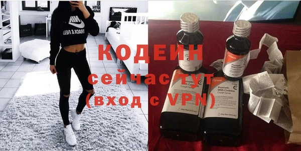 гашик Тавда